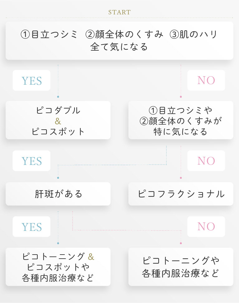シミ取り治療チャート